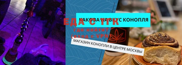 сатива Каменка