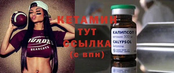 сатива Каменка
