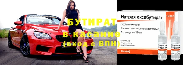 сатива Каменка