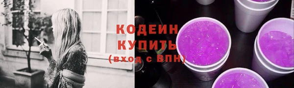 сатива Каменка