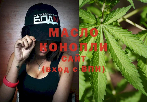 сатива Каменка