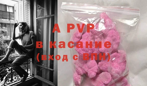 сатива Каменка