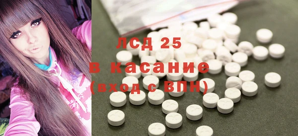 сатива Каменка