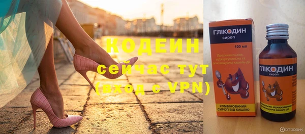 сатива Каменка