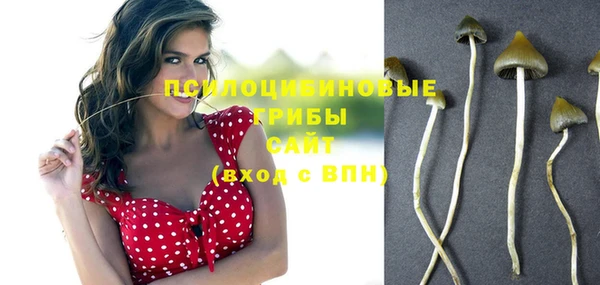 мефедрон мука Каменск-Шахтинский